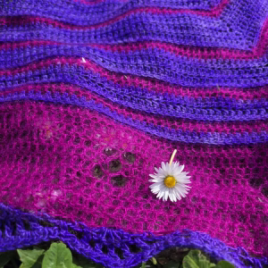 Kit à crocheter - Châle Sous les Pétunias